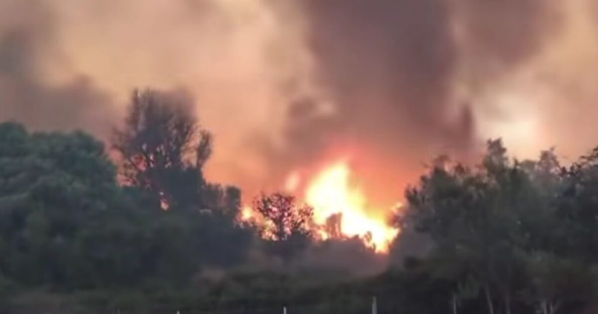 Δύσκολη νύχτα στην Εύβοια από τη μεγάλη φωτιά στα  Μεσοχώρια – Εντολή εκκένωσης από το 112 για τους Τσακαίους