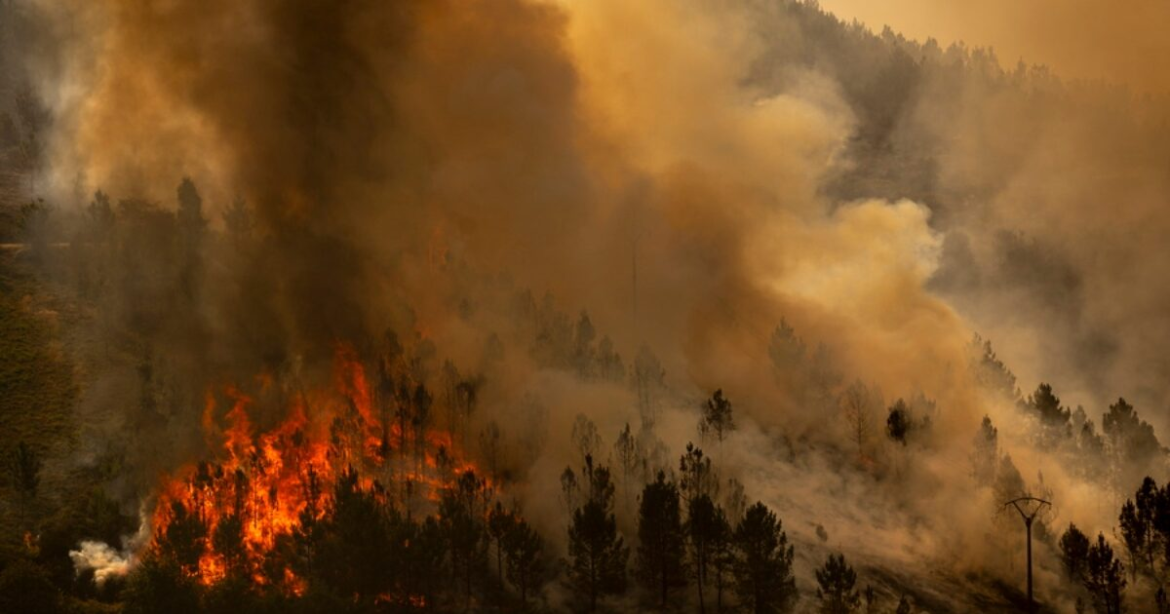 Φωτιά στην Ισπανία: Στάχτη χιλιάδες στρέμματα δάσους – Εγκατέλειψαν τα σπίτια τους πάνω από 1.000 άνθρωποι