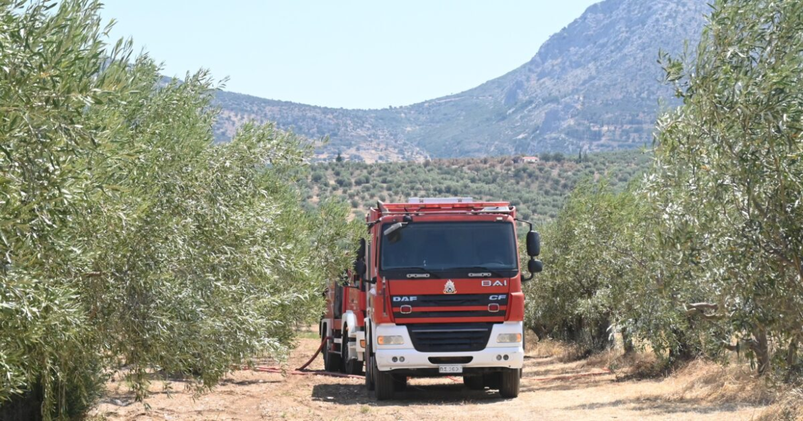 Φωτιά στη Στάμνα Αιτωλοακαρνανίας: Μήνυμα 112 για εκκένωση της περιοχής – «Απομακρυνθείτε προς Μεσολόγγι»