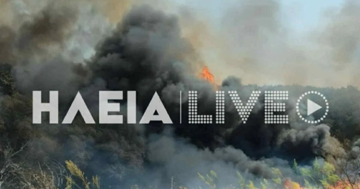 Φωτιά στην Ηλεία στην περιοχή Καπελέτο: Ήχησε το 112, σηκώθηκαν εναέρια μέσα