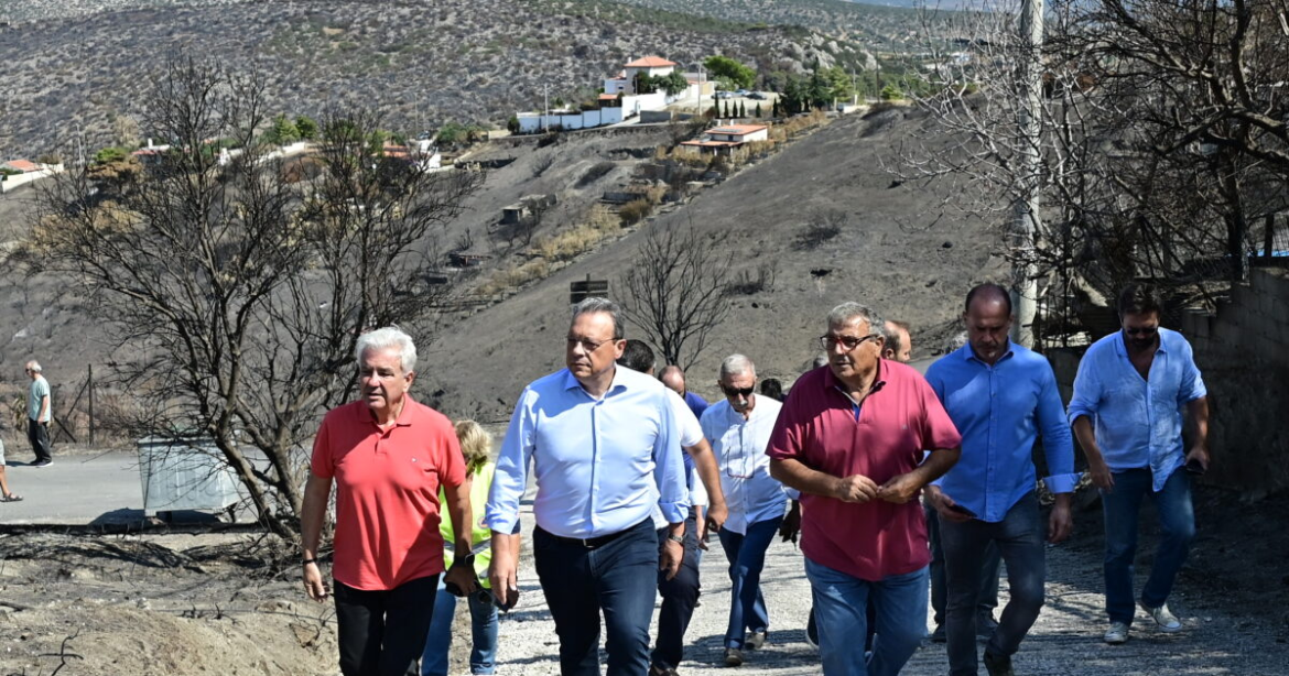 Φάμελλος από την ανατολική Αττική: Άμεση οριοθέτηση των καμένων, αποζημιώσεις, προστασία του περιβάλλοντος και αντιπλημμυρικά έργα άμεσα