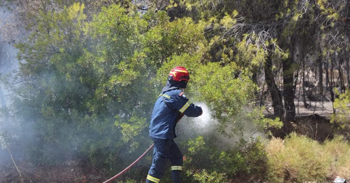 Σε ύφεση η φωτιά στην Μεσσηνία – Επιχείρησαν εναέριες δυνάμεις