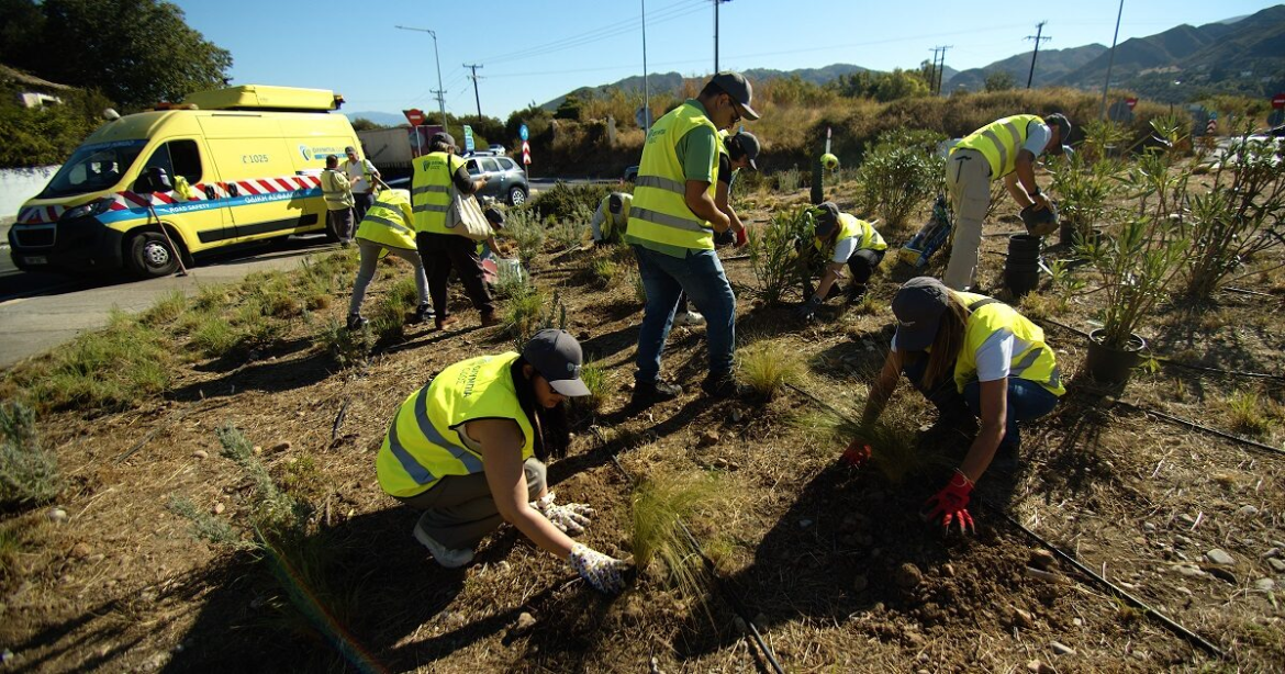 Ολυμπία Οδός: Αυτοκινητόδρομος και περιβάλλον