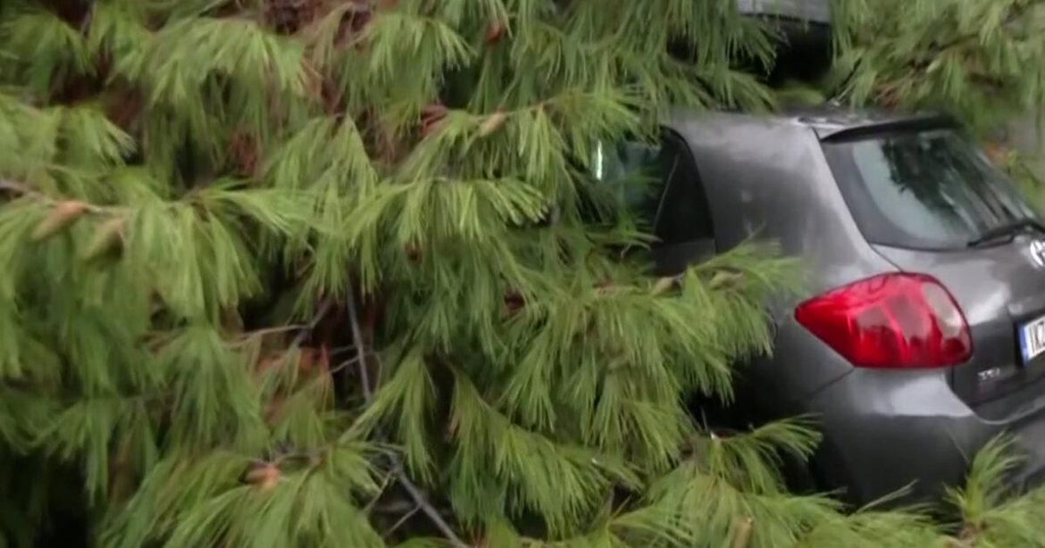 Κακοκαιρία Byron: Δέντρο καταπλάκωσε αυτοκίνητο στο Παλαιό Φάληρο