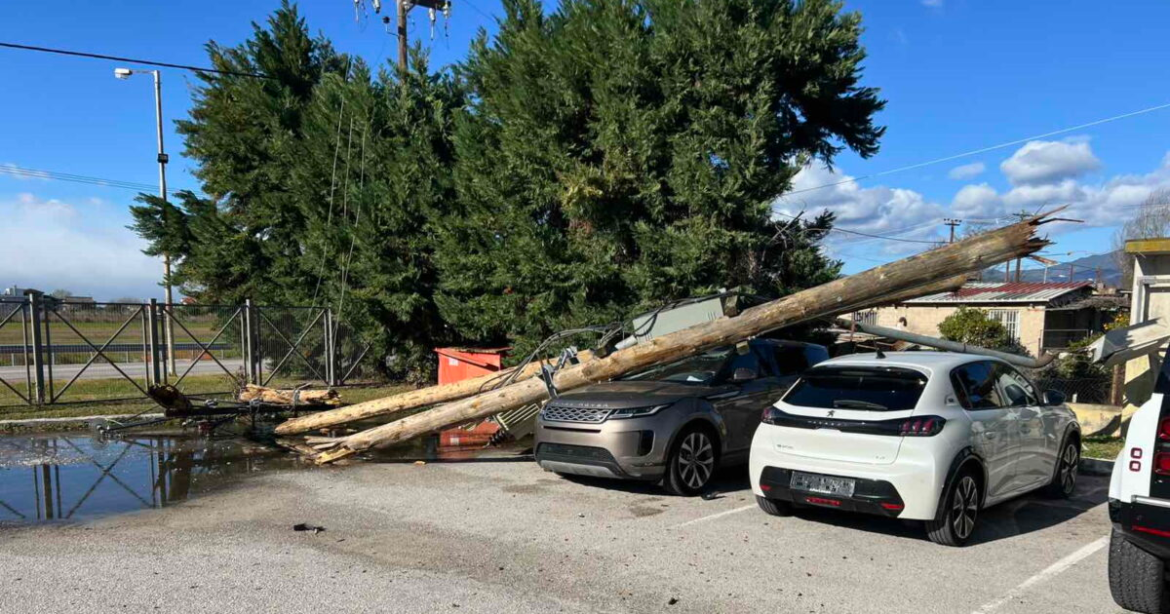 Φθιώτιδα: Έπεσαν δέντρα και κολόνες από τους θυελλώδεις ανέμους – Χιόνια στην Ευρυτανία