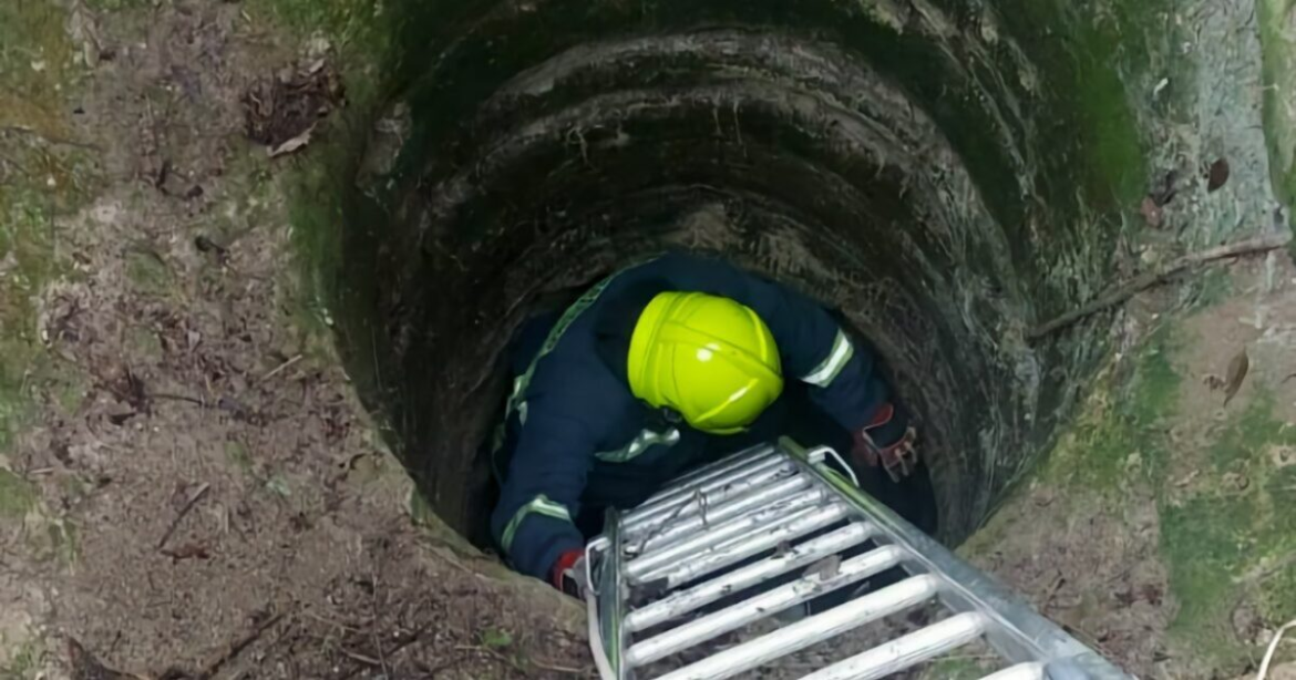 Λάρισα: Πυροσβέστες έσωσαν σκύλο μέσα από πηγάδι 7 μέτρων