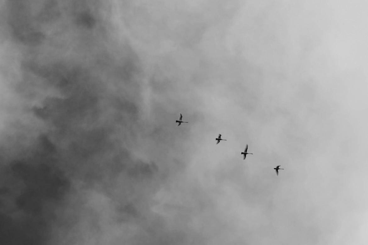 Οι ΗΠΑ βομβάρδισαν στρατιωτικούς στόχους στο νησί Kharg του Ιράν – Πάνω από 90 στόχοι καταστράφηκαν, χωρίς πλήγματα στις πετρελαϊκές εγκαταστάσεις